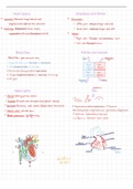 A comprehensive study guide to the cardiovascular system