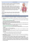 Resumen Histología del Sistema Respiratorio