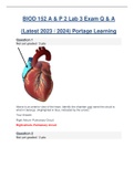 BIOD 152 / BIOD152 (Latest 2023 / 2024) A & P 2 Lab 3 Exam Portage Learning