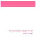 human rights law summary: documents on toledo +pp + lesson notes 14/20