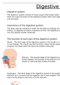 Unit 8: Physiology of Human Body Systems