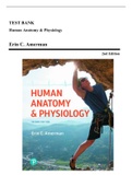 Test Bank - Human Anatomy & Physiology, 1st & 2nd Edition by Amerman, All Chapters