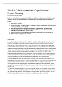 NR 532 Week 3 Collaboration Caf&eacute;&semi; Organizational Project Planning