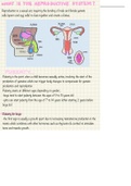 Lecture notes on the reproductive system