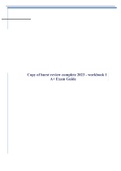Copy of hurst review complete 2023 - workbook 1 A+ Exam Guide