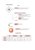 Chemistry AS CIE Units 1-13 (inorganic)