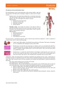 Unit 8 - Physiology of Human Body Systems BTEC Unit 8 Assignment 1 all criteria 