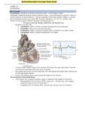 Dysrhythmias Basic Concepts Study Guide