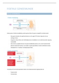 overzichtelijke en volledige samenvatting van het deel foetale geneeskunde van de cursus verloskunde met nota's en afbeeldingen