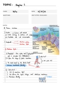 Notes for BE-GY 6103 Anatomy Physiology and Biophysics 