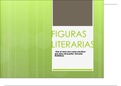Figuras Literarias- Literature Figures in Spanish