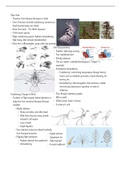 Origin of Birds