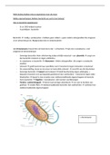 samenvatting biologie thema: micro-organismen en bacteriën