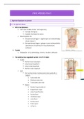 Complete samenvatting van het Abdomen