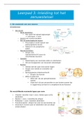 Samenvatting: inleiding zenuwstelsel (deel 1) + somatische zenuwstelsel en plexussen + Abdomen + Pelvis en Perineum 