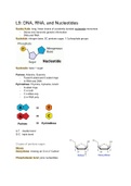L9: DNA, RNA, and Nucleotides