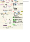 Biochemistry Pathways