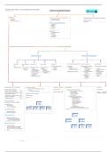 Mind maps 