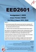 EED2601 Assignment 3 2023 (386989)