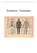 Anatomie Fysiologie eindopdracht 3e jaars