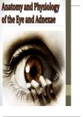 Anatomy&comma; Physiology&comma; and Embryology of the Eye&colon; A Comprehensive Foundation