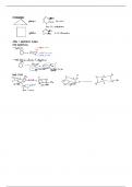 orgo 1 notes