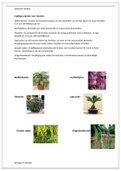 Samenvatting voeding en giftige planten