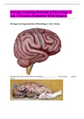 Portage Learning Anatomy & Physiology 2: Lab 1-8 Exams (Complete With Images)