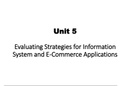 Evaluating Strategies for Information System and E-Commerce Applications