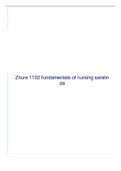 Znurs 1102 fundamentals of nursing saralin da