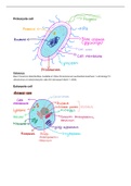 Biology labelled diagrams cells
