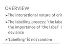 Labelling Theory