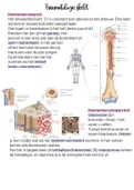 Samenvatting traumatologie skelet 