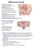 Samenvatting pathologie tractus genitalis (voortplantingsstelsel)