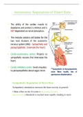 Autonomic Regulation of Heart Rate