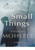 NOVEL SMALL THINGS FOR ENG1501 2023