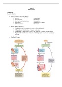 BIOS 251 Final Study Guide-(Midterm -Final) (Version-1) Anatomy and Physiology I, Verified, And Correct Answers, Chamberlain College of Nursing