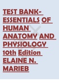 TEST BANK- ESSENTIALS OF HUMAN ANATOMY AND PHYSIOLOGY 10th Edition ELAINE N. MARIEB.