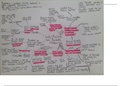 Mind map summaries of Character in An Inspector Calls