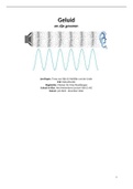 Profielwerkstuk Natuurkunde Geluid