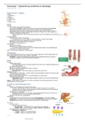 Anatomie en fysiologie van het spijsvertering