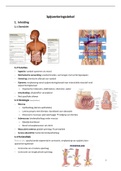 Fundament 3; Bio: Spijsverteringsstelsel