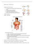 Lecture notes Cell and Tissue Biology (BIS4008-B) Digestive System 
