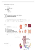 Lecture notes Cell And Tissue Biology (BIS4008-B) Digestive System 2