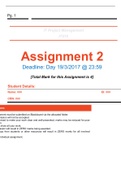 IT project management 