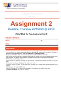IT project management  assignment answered