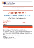IT project management assignment answered