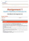 IT project management assignment answered
