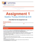 IT project management assignment answered