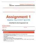 IT project management assignment answered